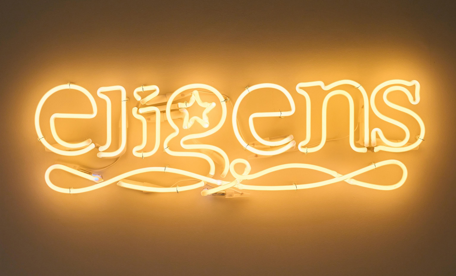 Eligens Branding by CB